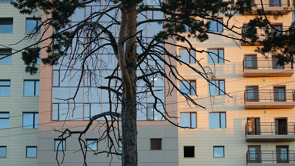 Novosibirsk Devlet Üniversitesi kampüs görünümü